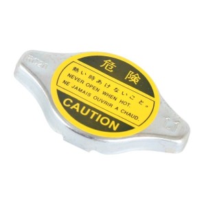 GoNow X-Space 2.2 4Y 491 2.8 2006- Radiator Cap