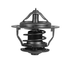 Kia Sorento 3.8 V6 Thermostat  Engine Code -G6DA  06-10